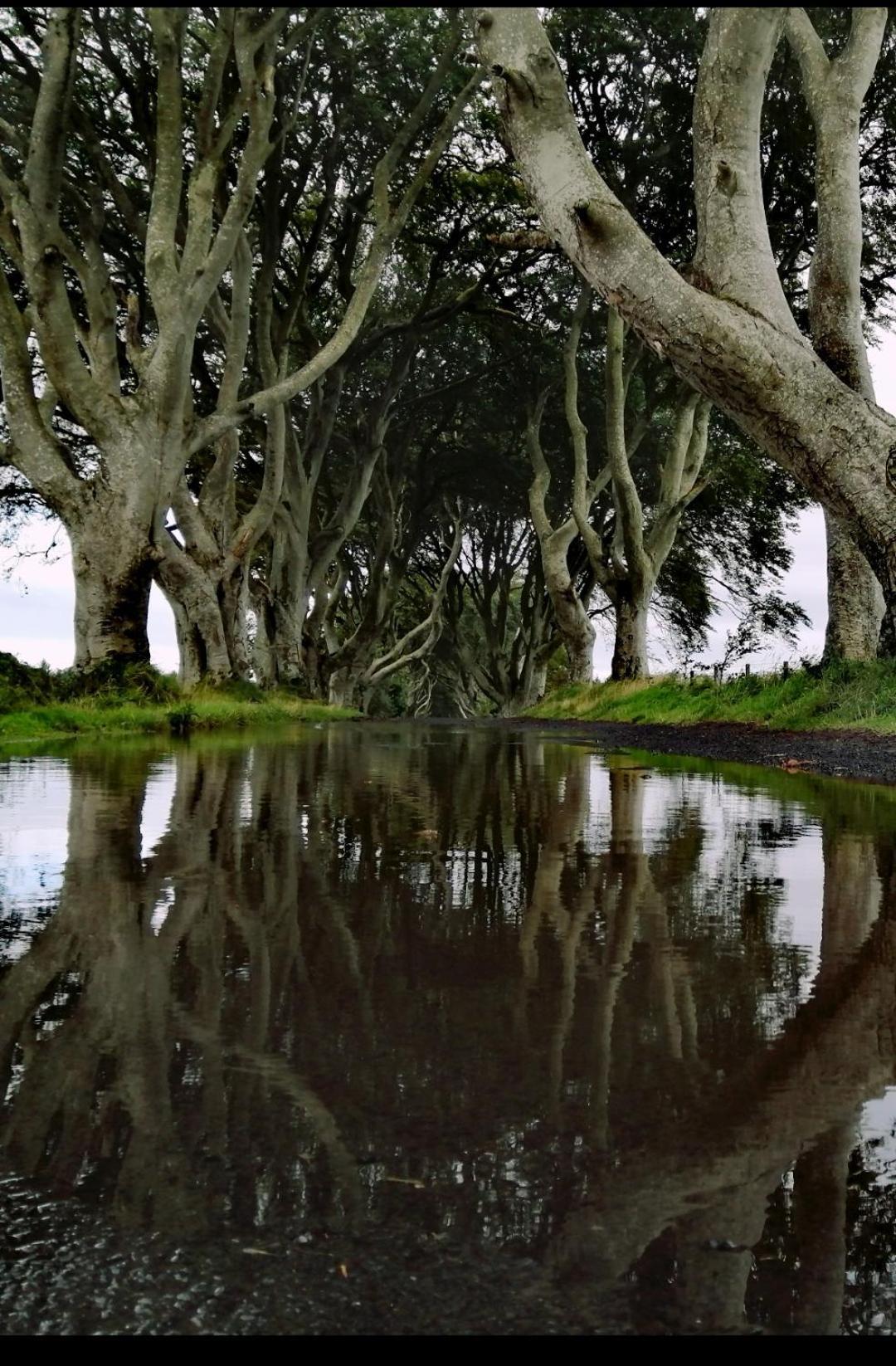 Doughery Den The Dark Hedges Hideaway Armoy Exterior photo